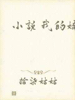 小说 我的娇妻