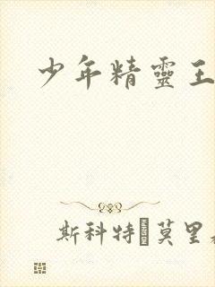 少年精灵王