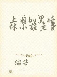 上瘾by黑暗森林小说免费