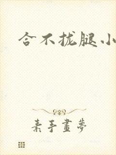 合不拢腿小说