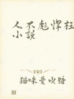 人不彪悍枉少年小说