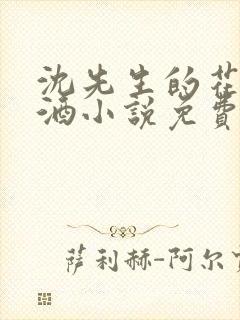 沈先生的花式调酒小说免费阅读