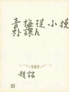 青梅从小摸到大补课h