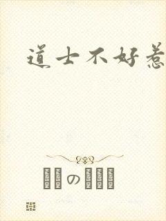 道士不好惹小说
