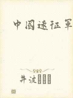 中国远征军小说
