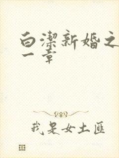 白洁新婚之夜第一章