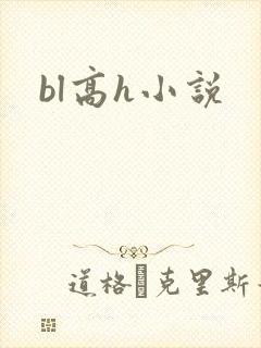 bl高h小说
