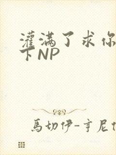 灌满了求你们停下NP