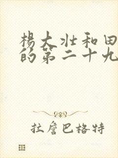 杨大壮和田桂花的第二十九