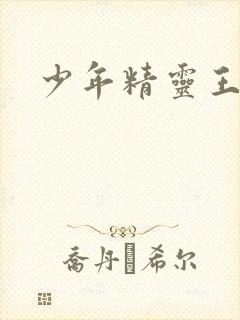 少年精灵王