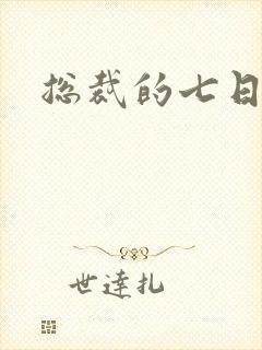 总裁的七日恋人