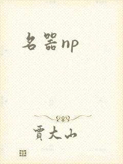 名器np