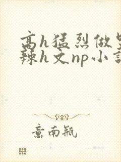 高h猛烈做哭高辣h文np小说