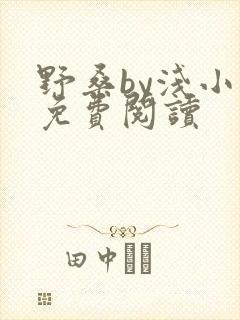 野桑by浅小说免费阅读