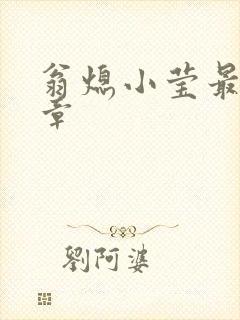 翁熄小莹最新节章