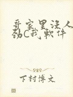 哥家里没人使点劲C我软件