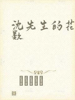 沈先生的花式调数