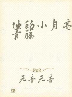 他的小月亮by青藤