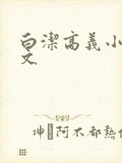 白洁高义小说全文