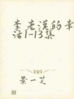 李老汉的幸福生活1-13集