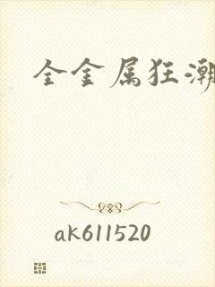 全金属狂潮小说