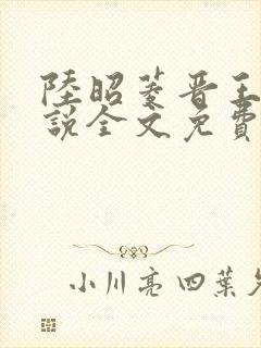 陆昭菱晋王的小说全文免费阅读