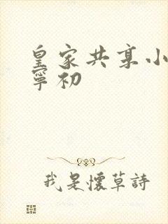 皇家共享小公主宁初