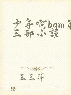 少年啊bgm第三部小说