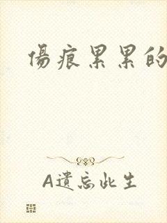 伤痕累累的勋章