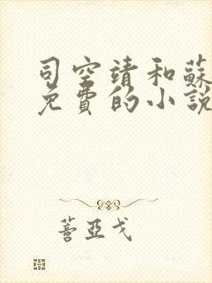 司空靖和苏月汐免费的小说笔趣阁