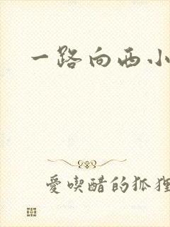 一路向西小说