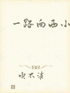 一路向西小说