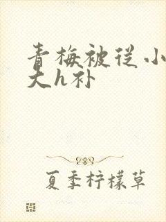 青梅被从小摸到大h补