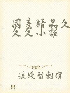 国产精品久久久久久小说