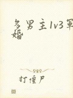 多男主1v3军婚