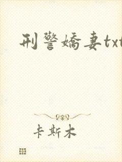 刑警娇妻txt