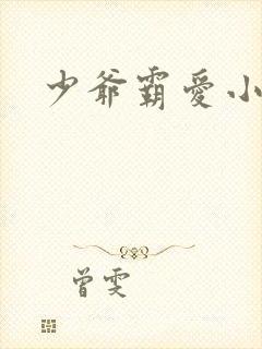 少爷霸爱小丫头