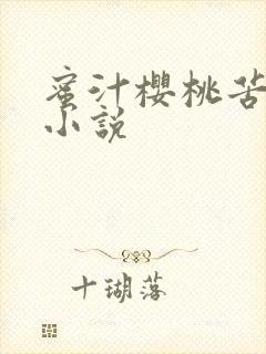 蜜汁樱桃苦咖啡小说