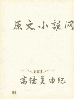 原文小说网