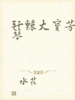 轩辕大宝芳菲雅琴