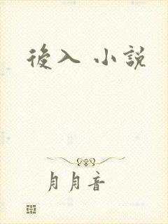 后入 小说