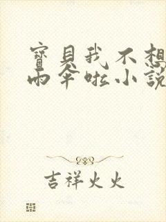 宝贝我不想带小雨伞啦小说