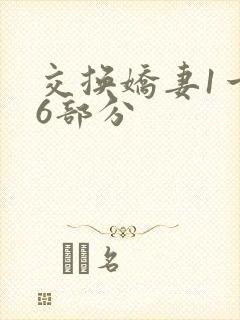 交换娇妻1一36部分