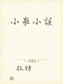 小米小说