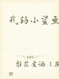 我的小鲨鱼