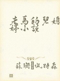 老马的儿媳顾婉婷小说