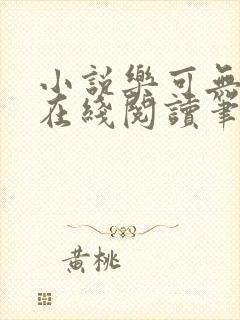 小说乐可无弹窗在线阅读笔趣阁txt