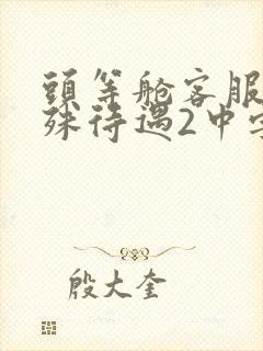 头等舱客服的特殊待遇2中字