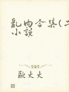 乱肉合集(二)小说