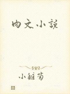 肉文小说